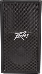 Peavey PV 112 2-Way 12" Speaker System