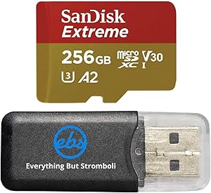 SanDisk 256GB_TF_Extreme Pro_R4 MicroSD Card for DJI Drones