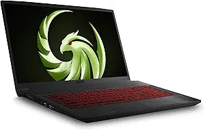 MSI Bravo 17 A4DDR-009 Gaming Laptop - Ryzen R7, 120Hz