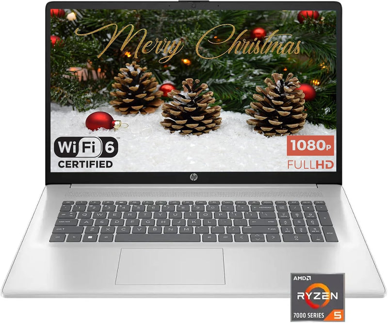 HP AMD 17.3