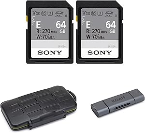 Sony E-Series SD Card 64GB with Reader & Case