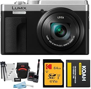 Panasonic LUMIX ZS80 4K Travel Zoom Camera Bundle