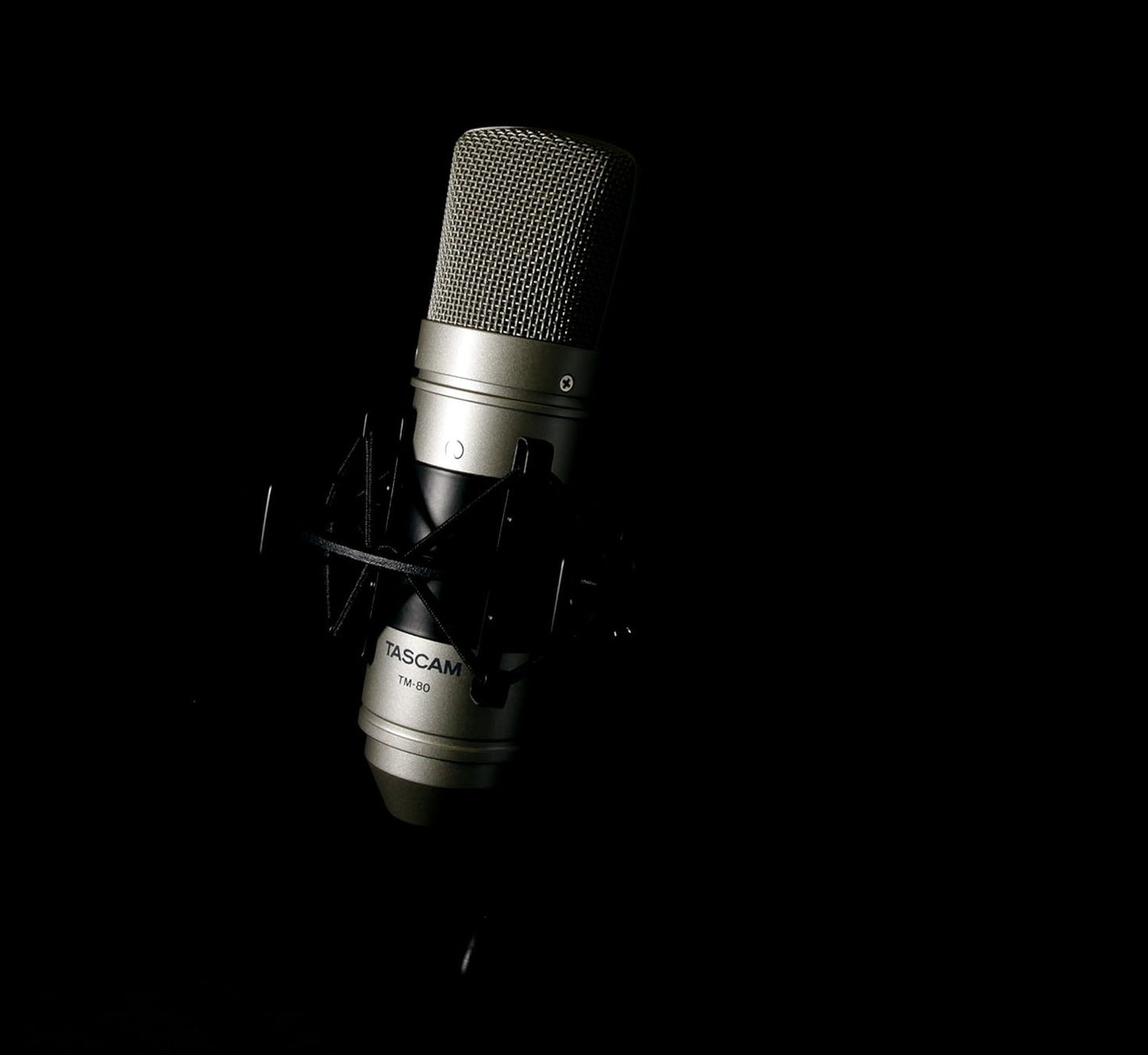 Tascam TM-80 Studio Condenser Microphone Silver