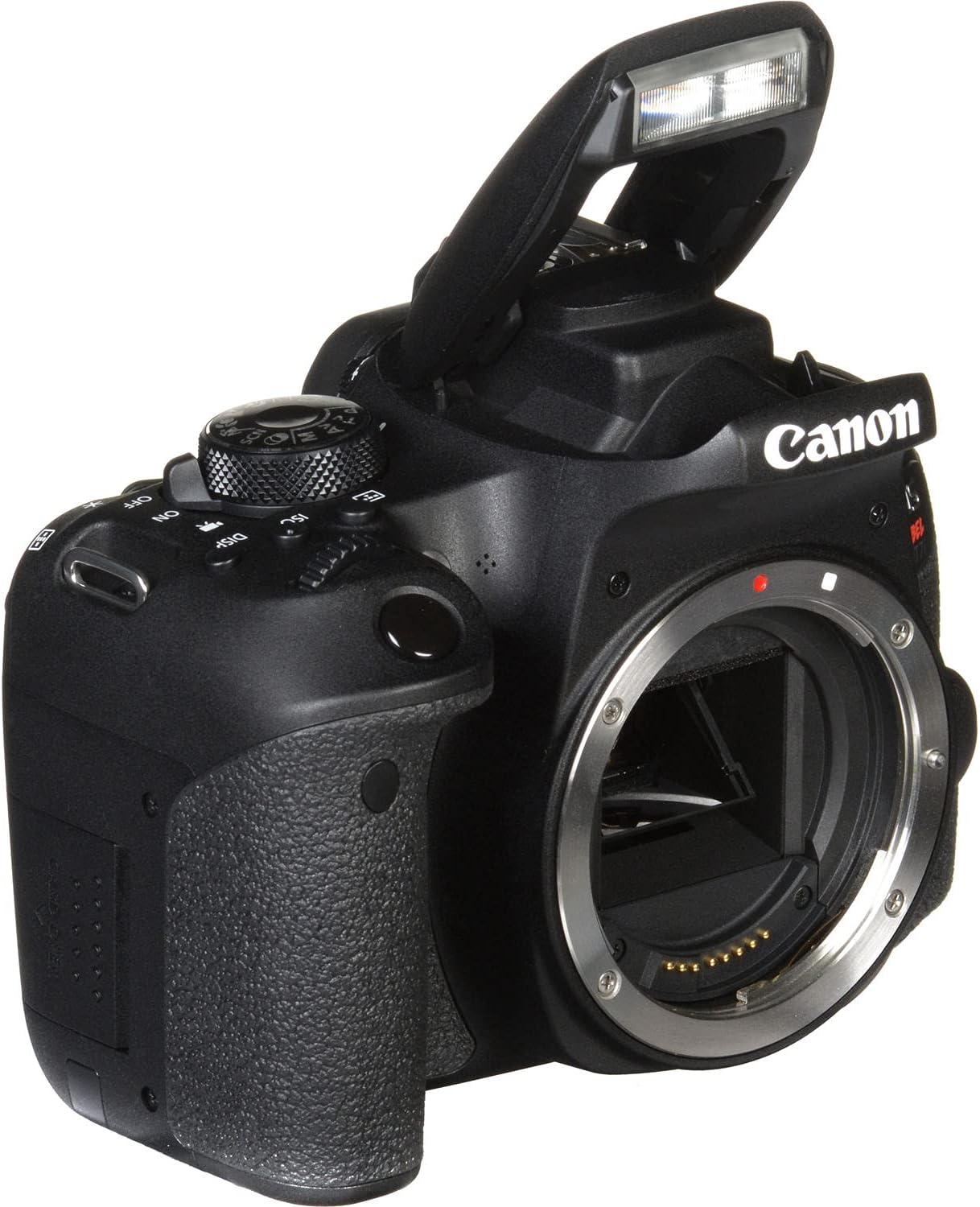 Canon 1894C001AA EOS Rebel T7i DSLR Camera Bundle Renewed