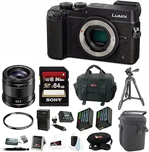 Panasonic DMC-GX8KBODY LUMIX GX8 Camera Bundle