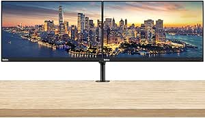 Lenovo ThinkVision T24i FHD IPS Monitor 2-Pack