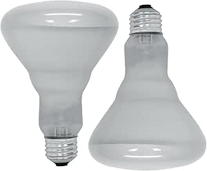 GE 18011 65W BR30 Soft White Flood Light Bulb 2-Pack