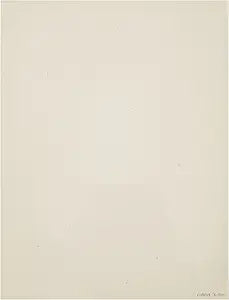 Cokin X696 Square Sunwarm Diffuser XL