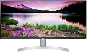 LG 2023 monitor 29 Inch WFHD IPS Ultra Wide