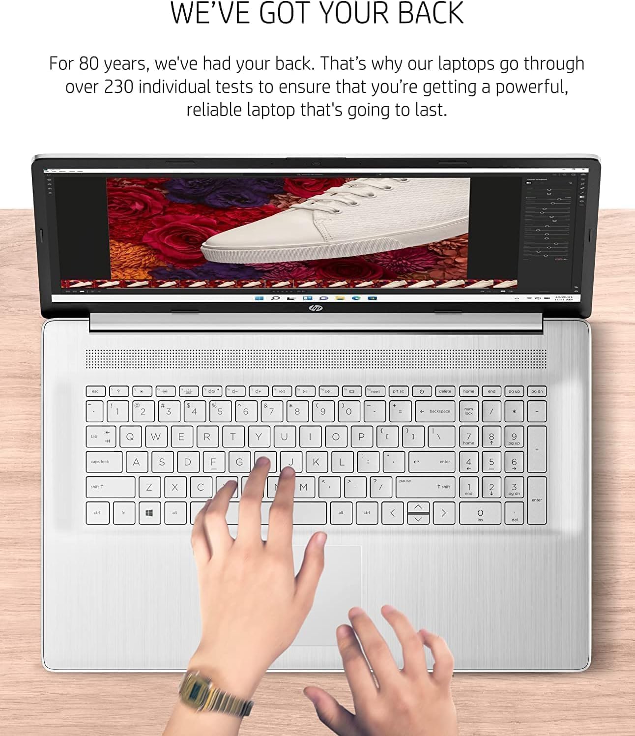 HP 17 Ryzen 5 5500U 17.3" FHD Laptop