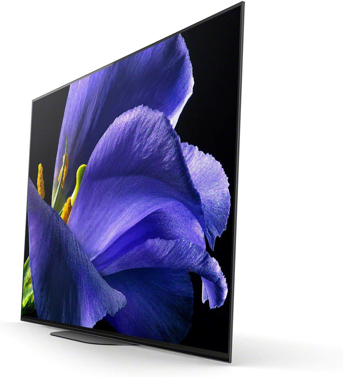 Sony A9G 65-Inch Master Series 4K OLED TV