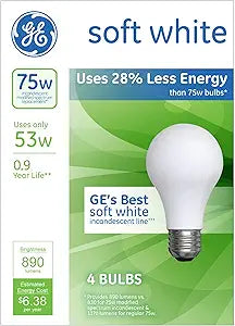 GE GEL66248 A19 Energy-Efficient Light Bulbs - 4 Pack