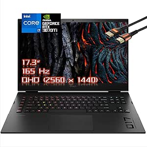 HP OMEN 17.3" i7 RTX 3070Ti 165Hz Gaming Laptop