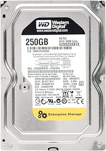 Western Digital WD2503ABYX 250GB 7200RPM HDD — main product image