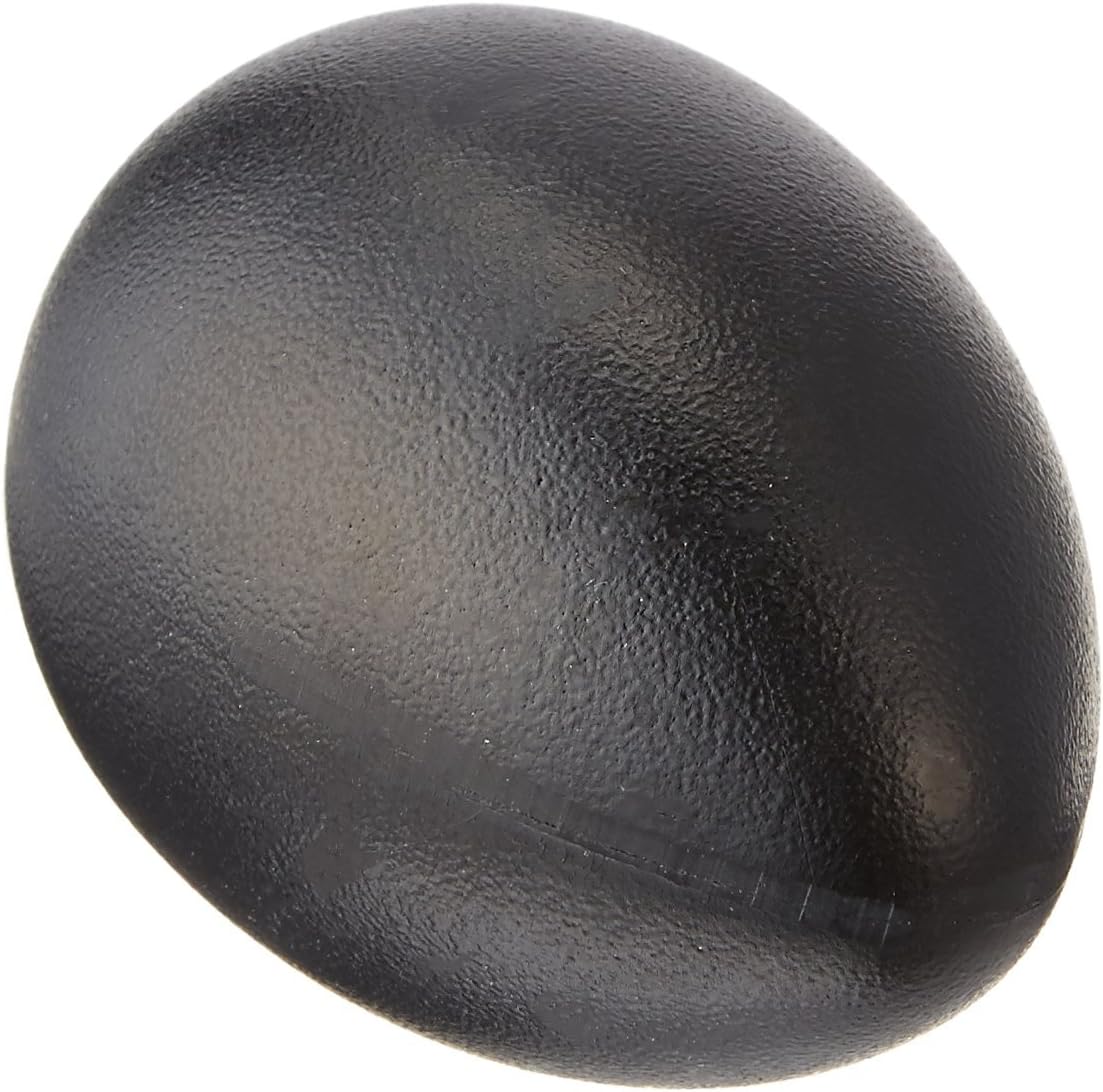 Latin Percussion LP001-BK Plastic Egg Shakers Black 36-Pack