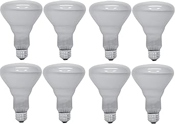 GE Lighting 20331-6-6 65W Soft White Floodlight