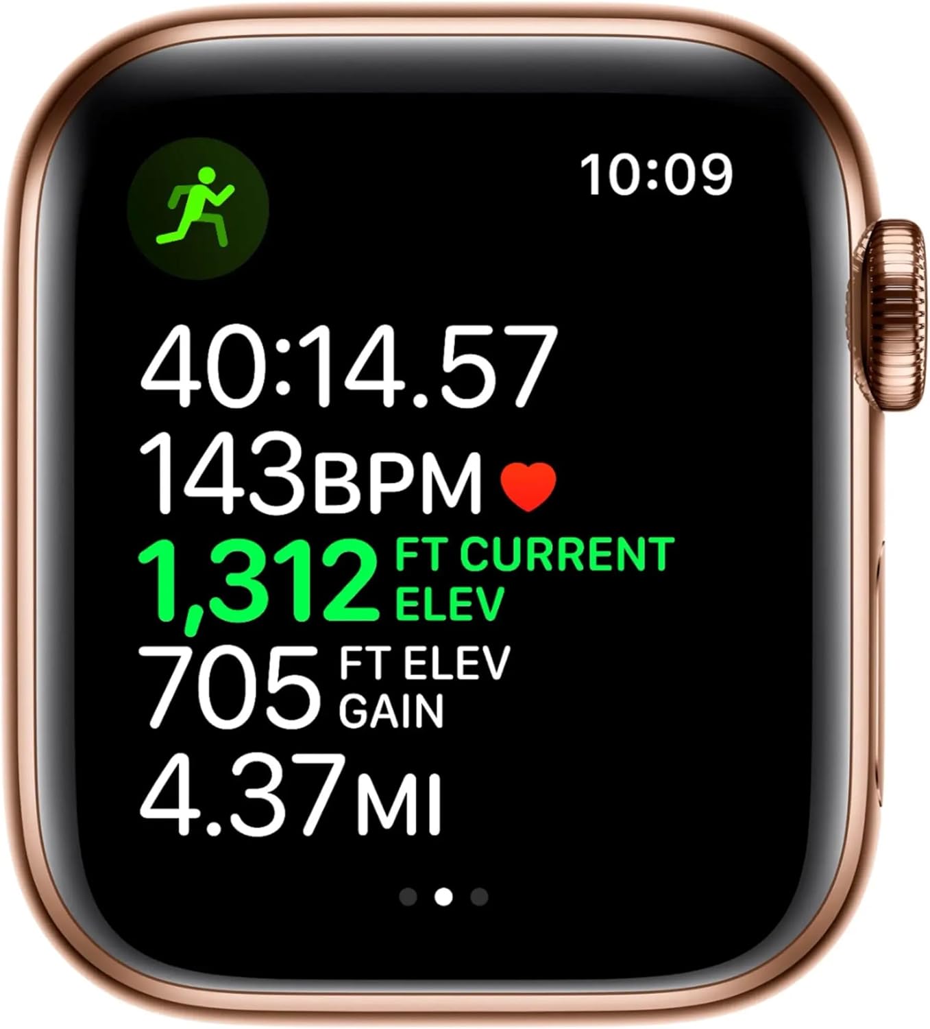 Apple Series 4 44mm GPS + Cellular Gold Stainless Steel Renewed
