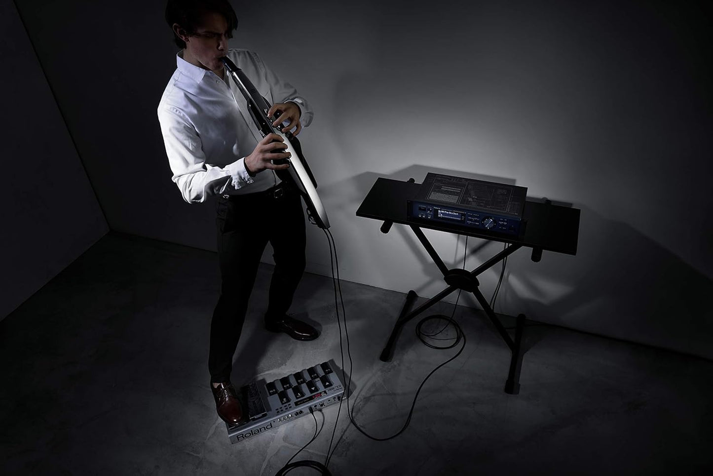 Roland AE-30 Aerophone Pro Digital Wind Instrument