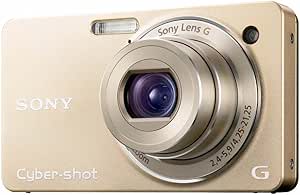 Sony DSC-WX1 Cyber-Shot Digital Camera (International)