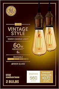 GE Vintage Edison Style LED Dimmable Light Bulbs