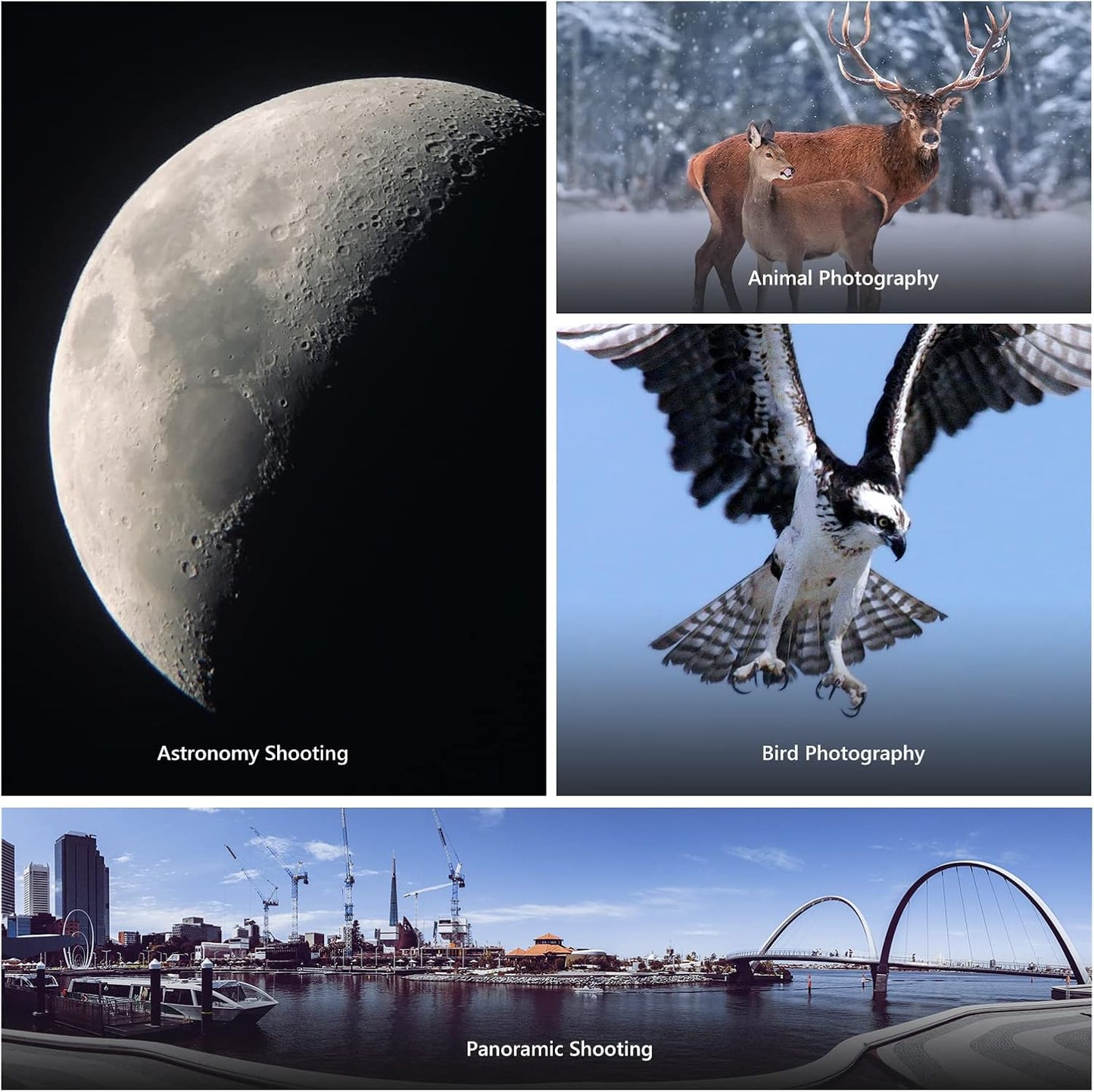 Neewer 10099646 Gimbal Tripod Head Heavy Duty