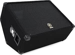 Yamaha BR15M 15-inch 2-Way Floor Monitor — main product image