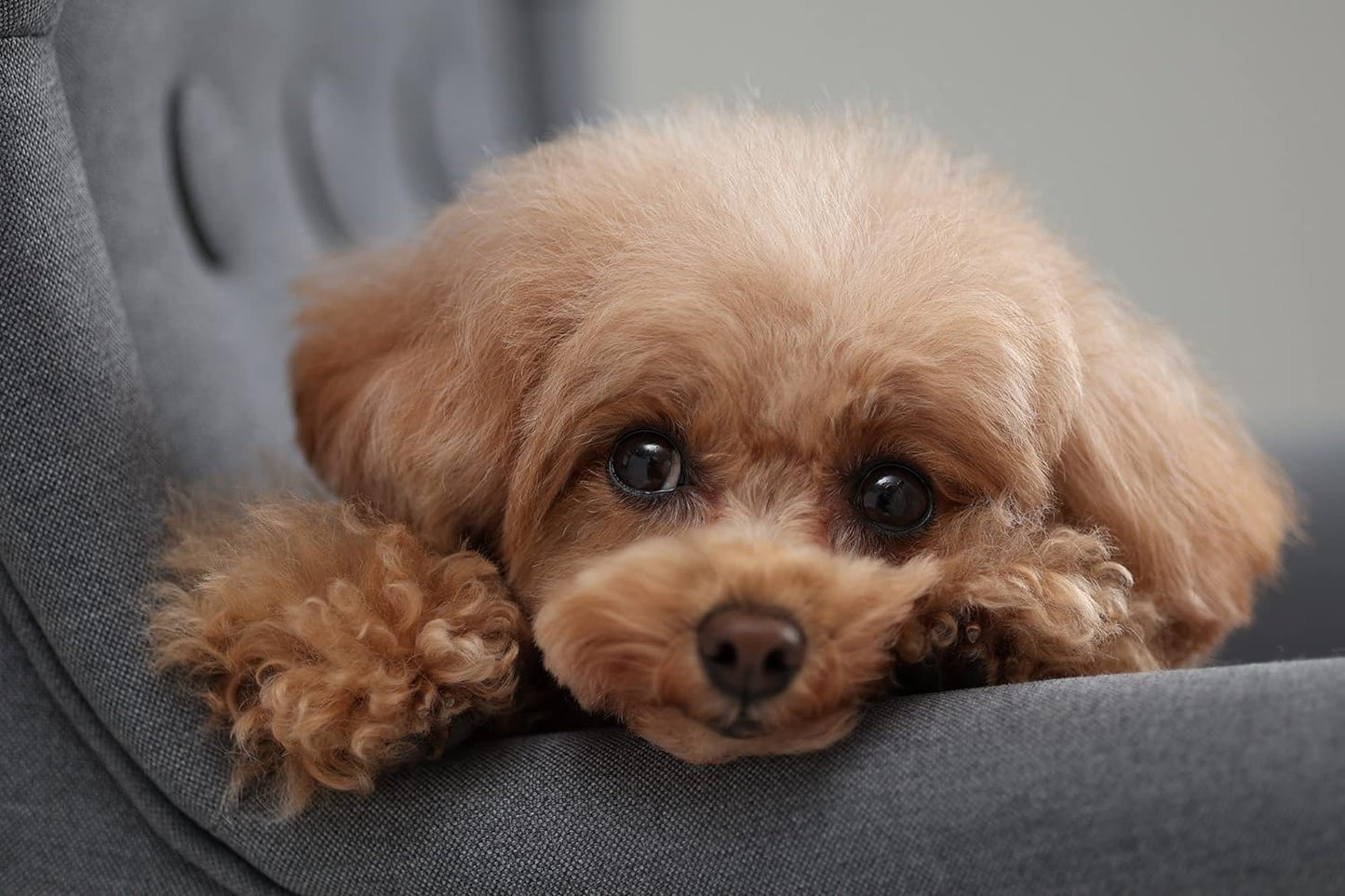 Canon EOS R10 Mirrorless Camera 18-150mm Kit