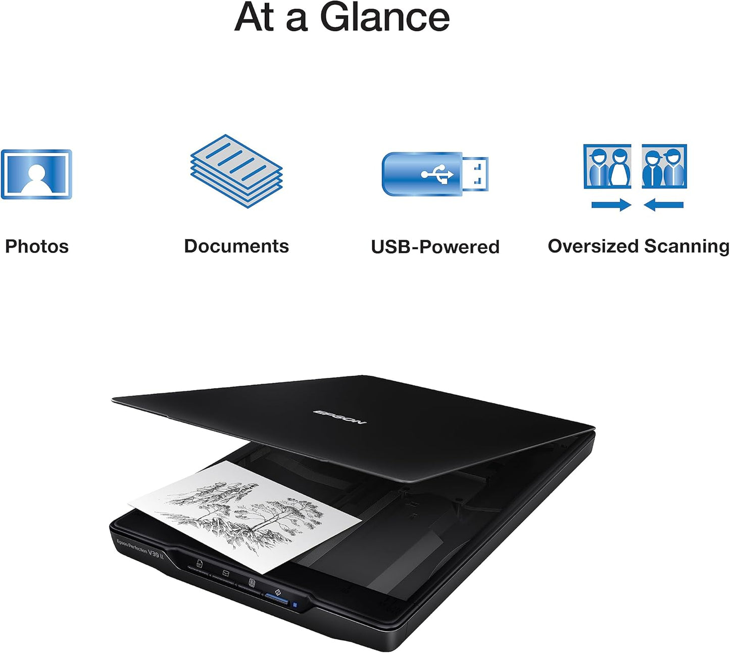 Epson B11B268201 Perfection V39 II Flatbed Color Photo Scanner