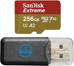 SanDisk 256GB_TF_Extreme_R4 Micro SD Card GoPro Bundle