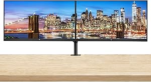 HP ASIHLAMZ392 EliteDisplay E24 G4 24" Monitor 2-Pack Bundle