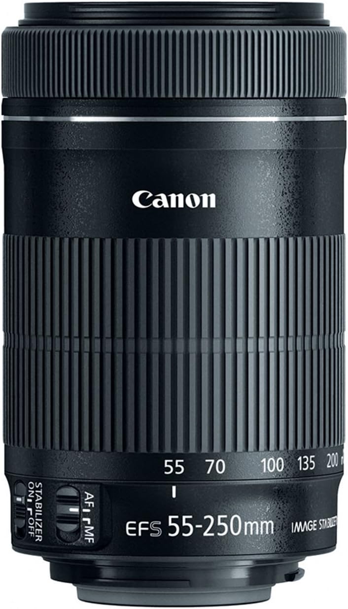 Canon EF-S55-250ISSTM 55-250mm f/4-5.6 IS STM Lens