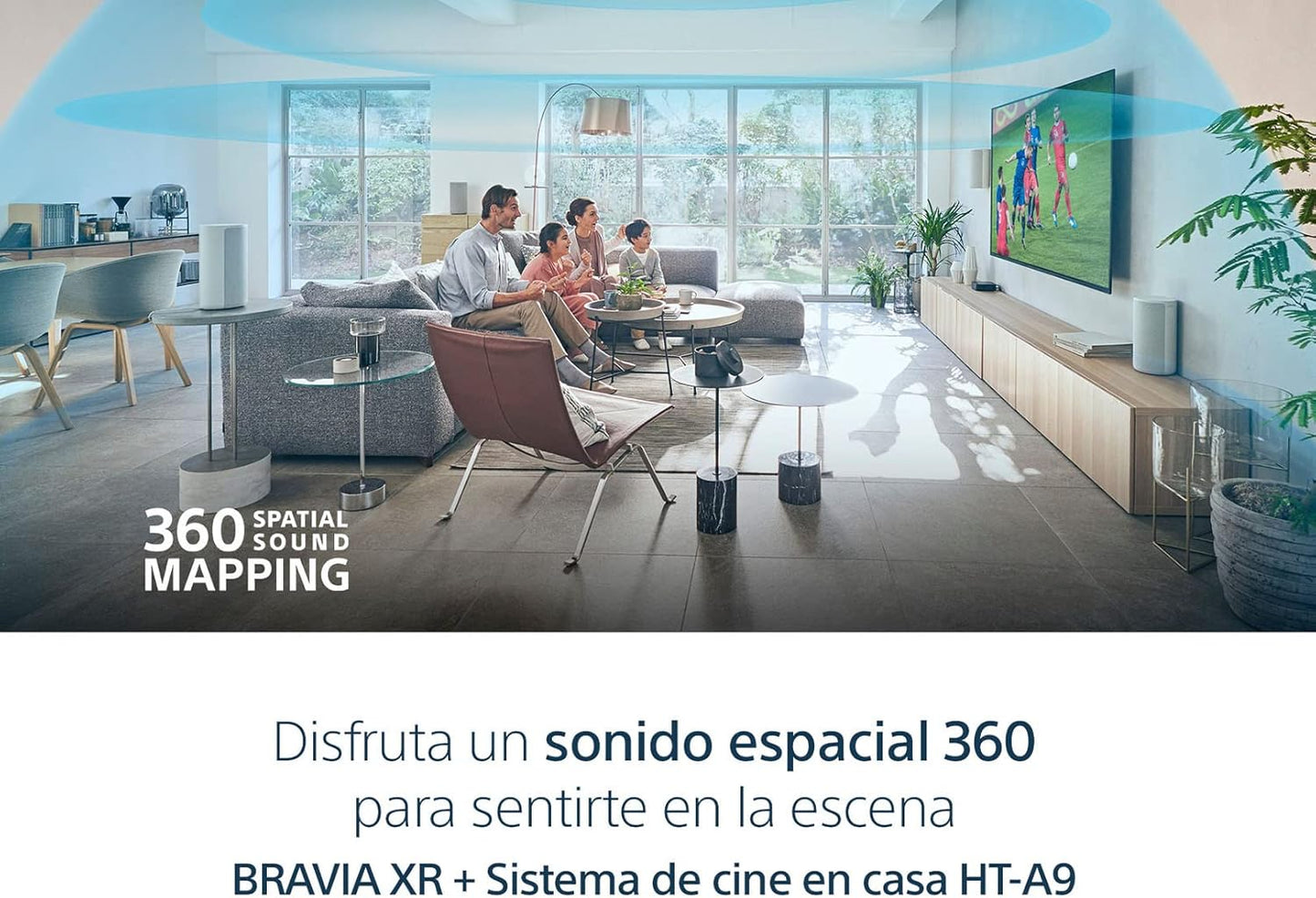 Sony CRT2SNXR55A80L 55" 4K OLED Google TV: BRAVIA XR A80L (Renewed)