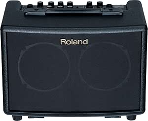 Roland AC33 Acoustic Chorus 30-Watt Battery Amp — main product image
