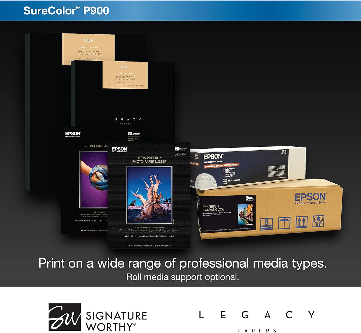 Epson C11CH37201-N SureColor P900 17-Inch Photo Printer