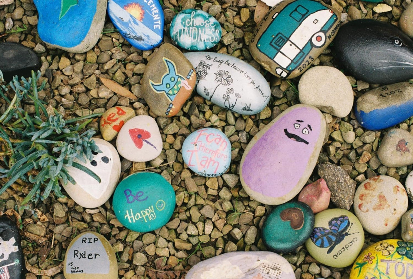 Fujifilm FUJIFILM 200 Color Film 3-Pack