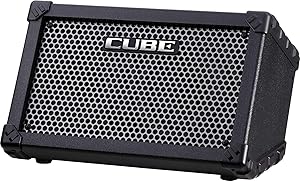 Roland CUBE-ST Street 5-Watt Battery-Powered Stereo Amplifier