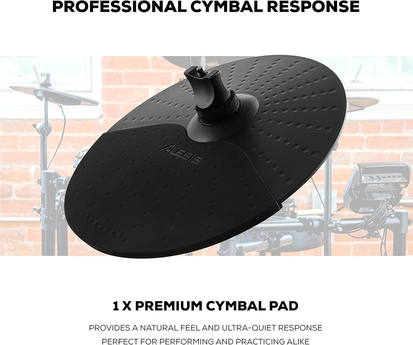 Alesis Strike Amp 8 Electronic Drum Amplifier + Expansion Pack