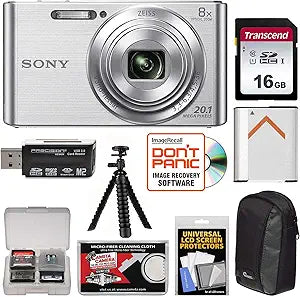 Sony Cyber-Shot DSC-W830 Silver Digital Camera Bundle