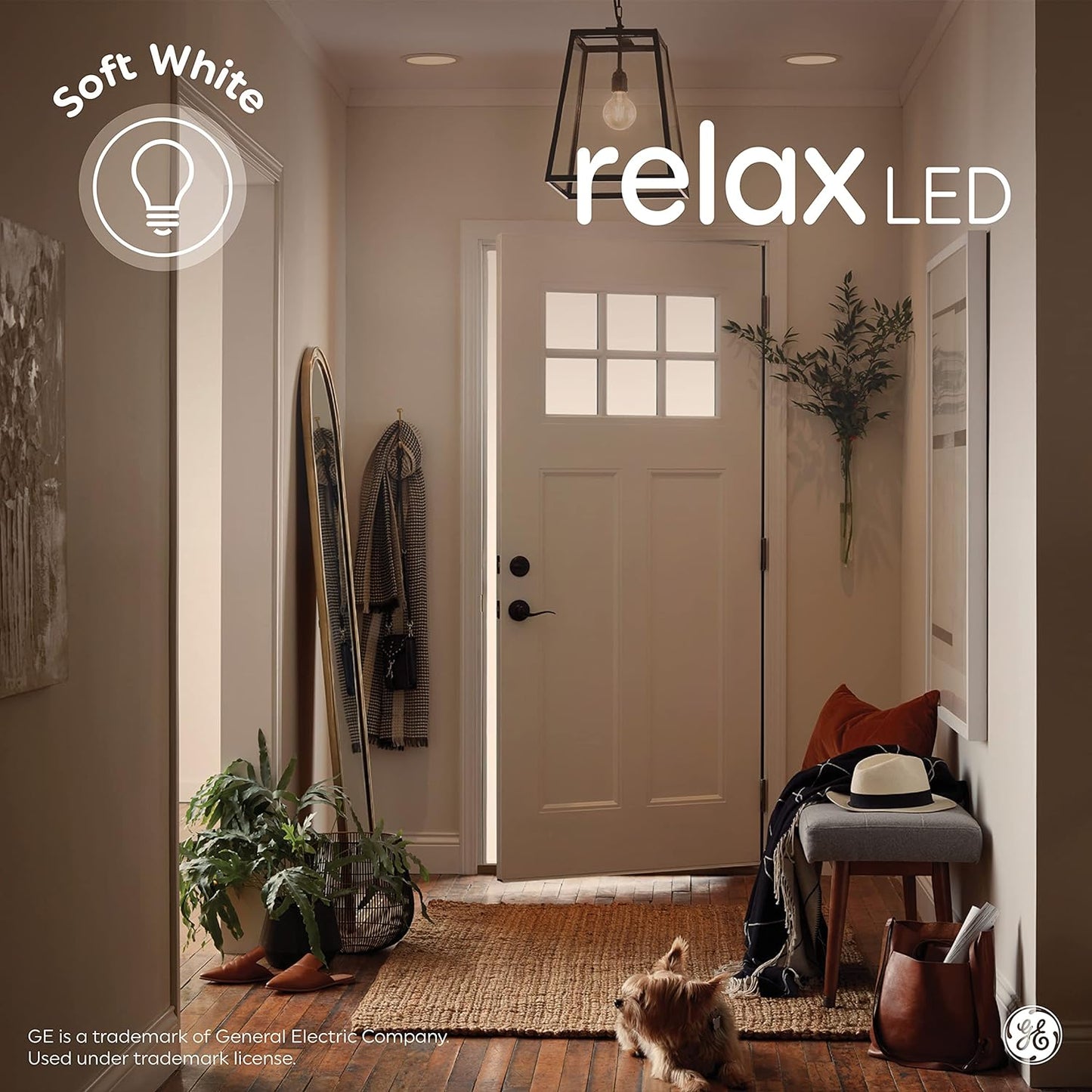 GE 31755 Relax LED G16.5 Globe Bulbs Soft White 2-Pack