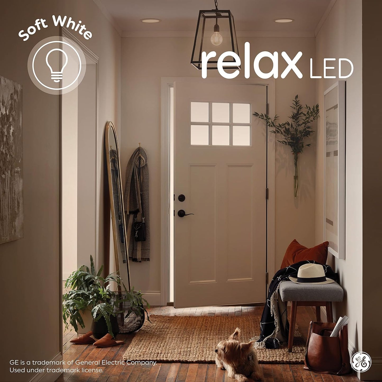 GE 31719 Relax 40W Soft White LED Globe Bulbs 2-Pack