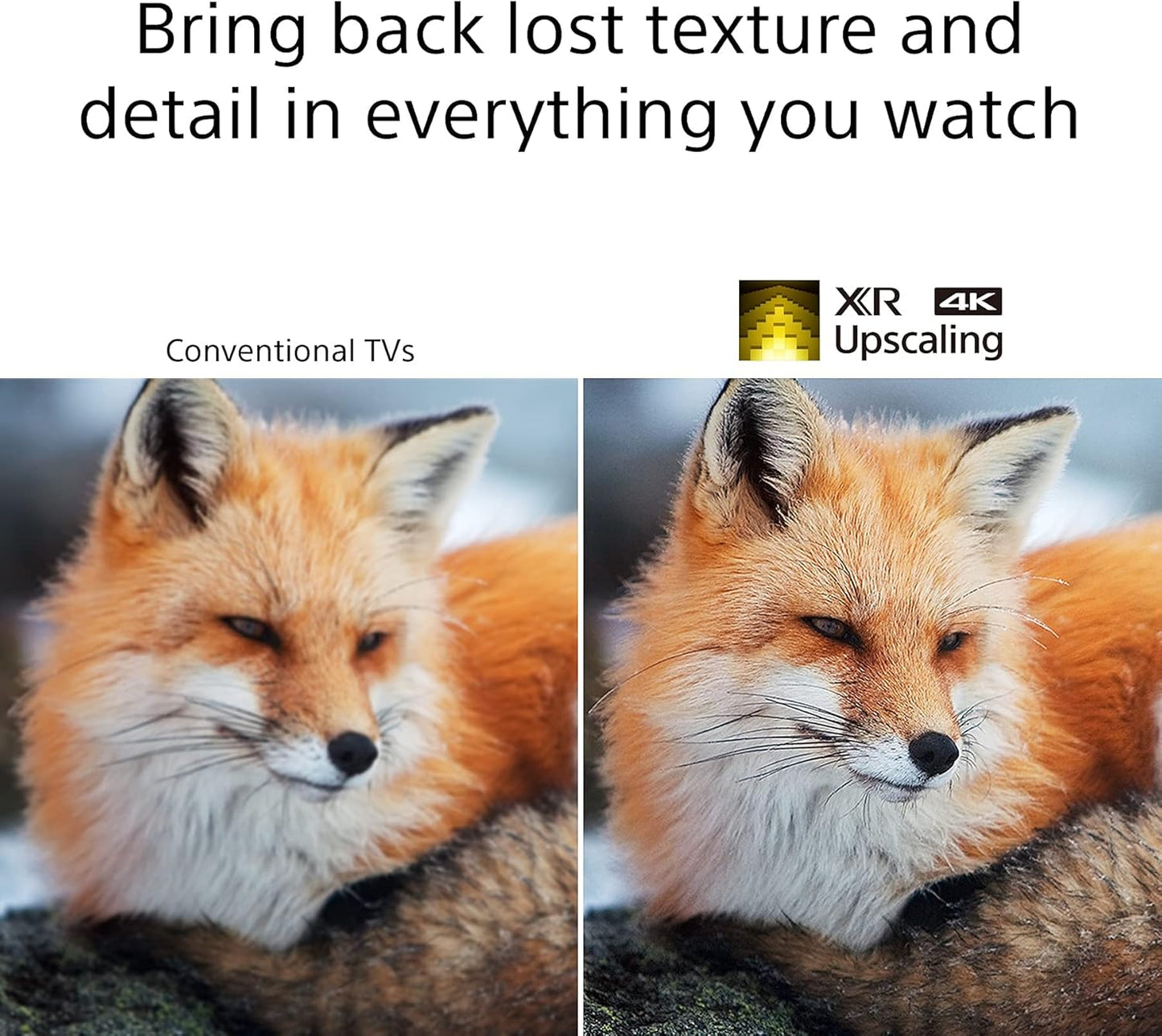 Sony XR50X90J 50" 4K Bravia Smart TV (USED)