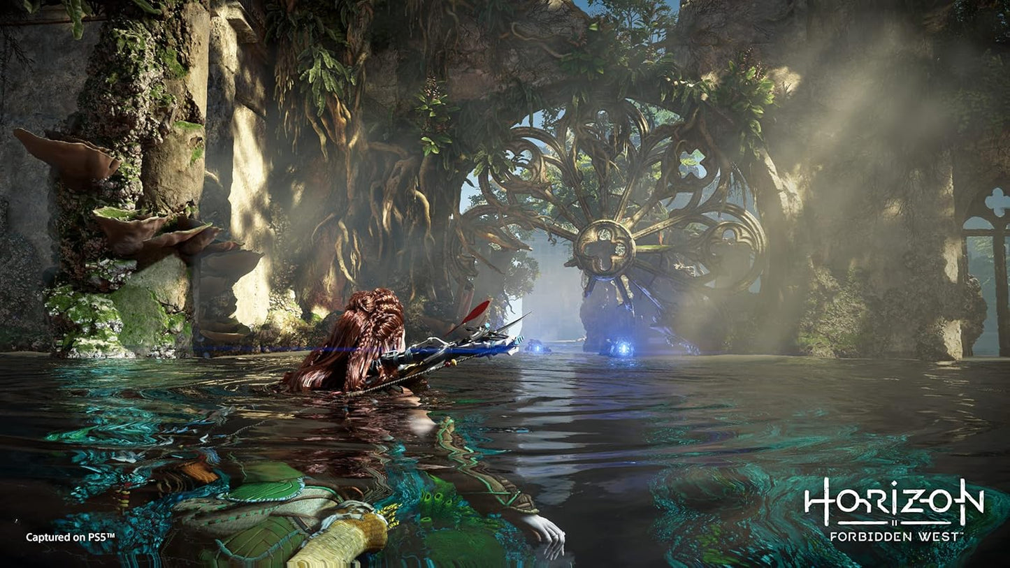 Sony 9720690 Horizon Forbidden West (PS5)