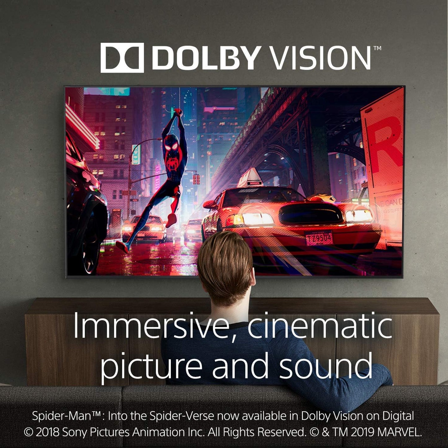 Sony X950G 55-Inch 4K Ultra HD Smart LED TV Renewed