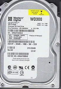 Western Digital WD300EB-75CPF0 30GB IDE Hard Drive