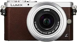 Panasonic DMC-GM1SK-T Mirrorless Camera 12-32mm Lens