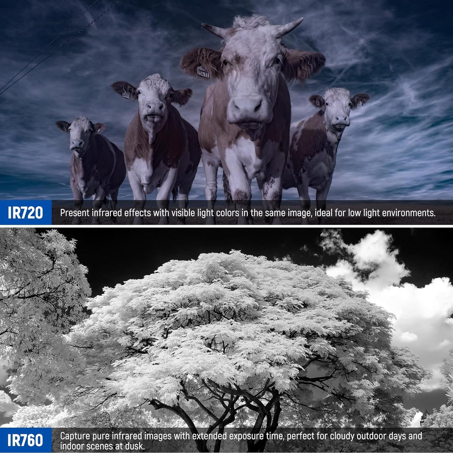 Neewer NW SERIES B 77mm Infrared Filter Set IR720/760/850/950