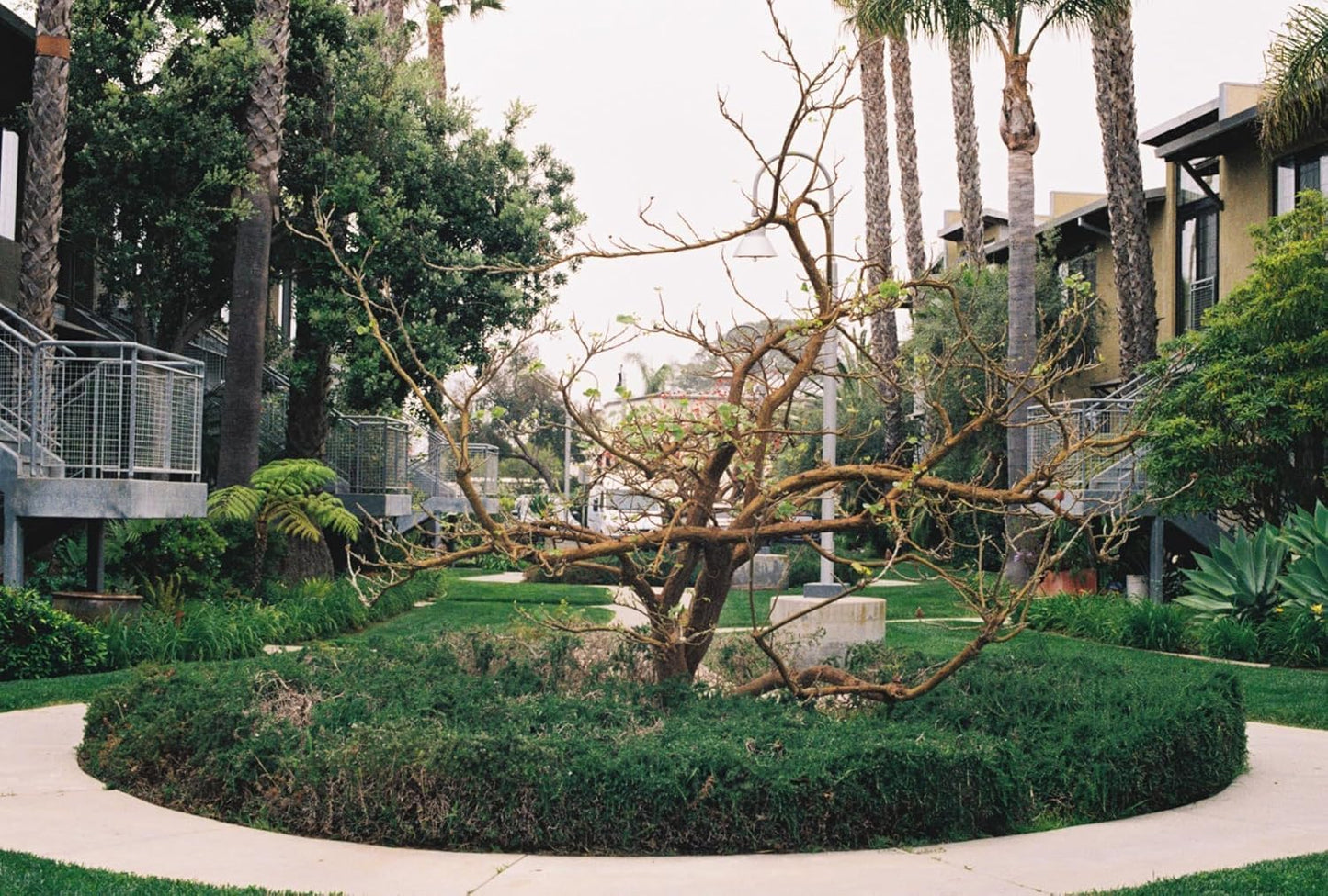 Fujifilm FUJIFILM 200 Color Film 3-Pack