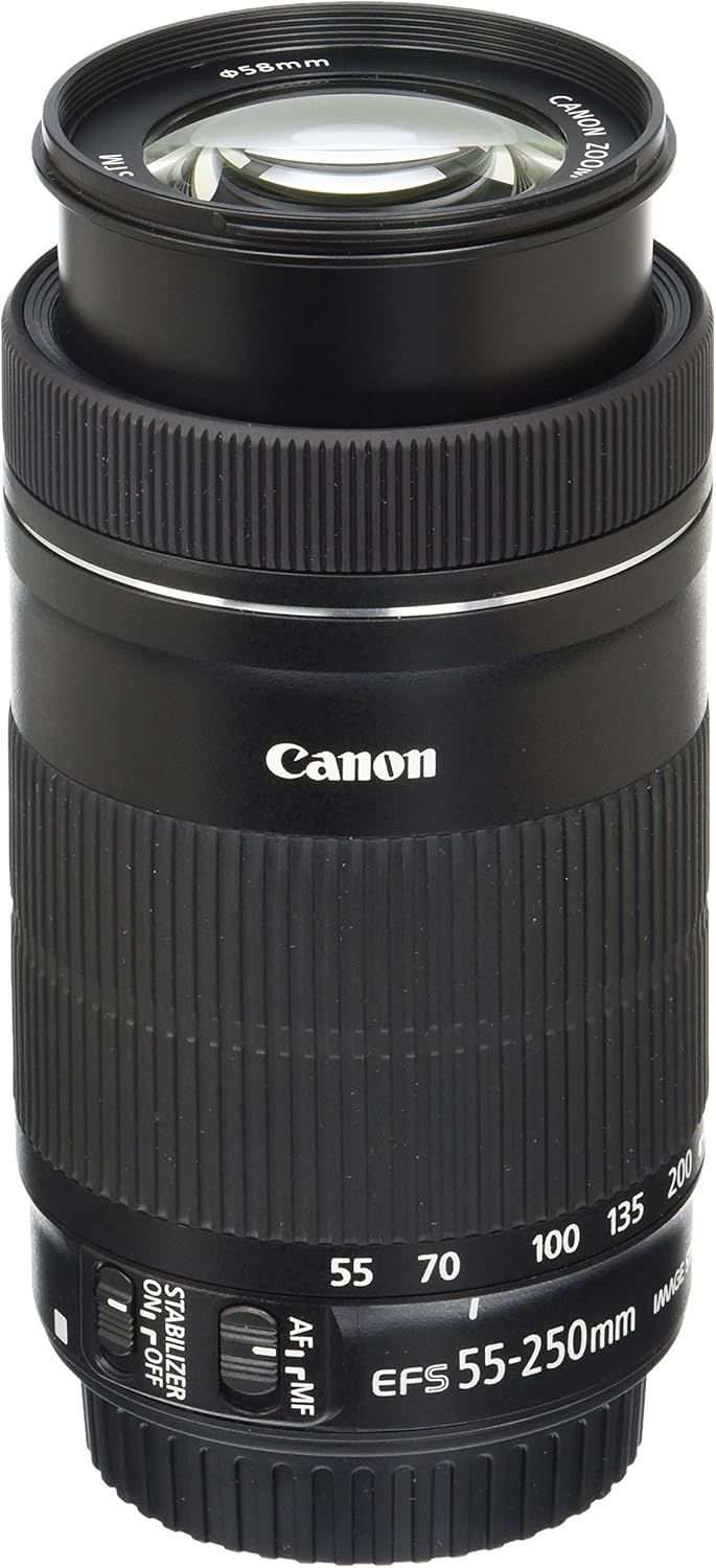 Canon EF-S55-250ISSTM 55-250mm f/4-5.6 IS STM Lens