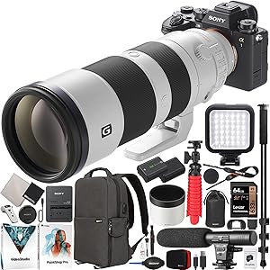Sony E40SNILCE1BODYX7 Alpha 1 Camera Telephoto Bundle