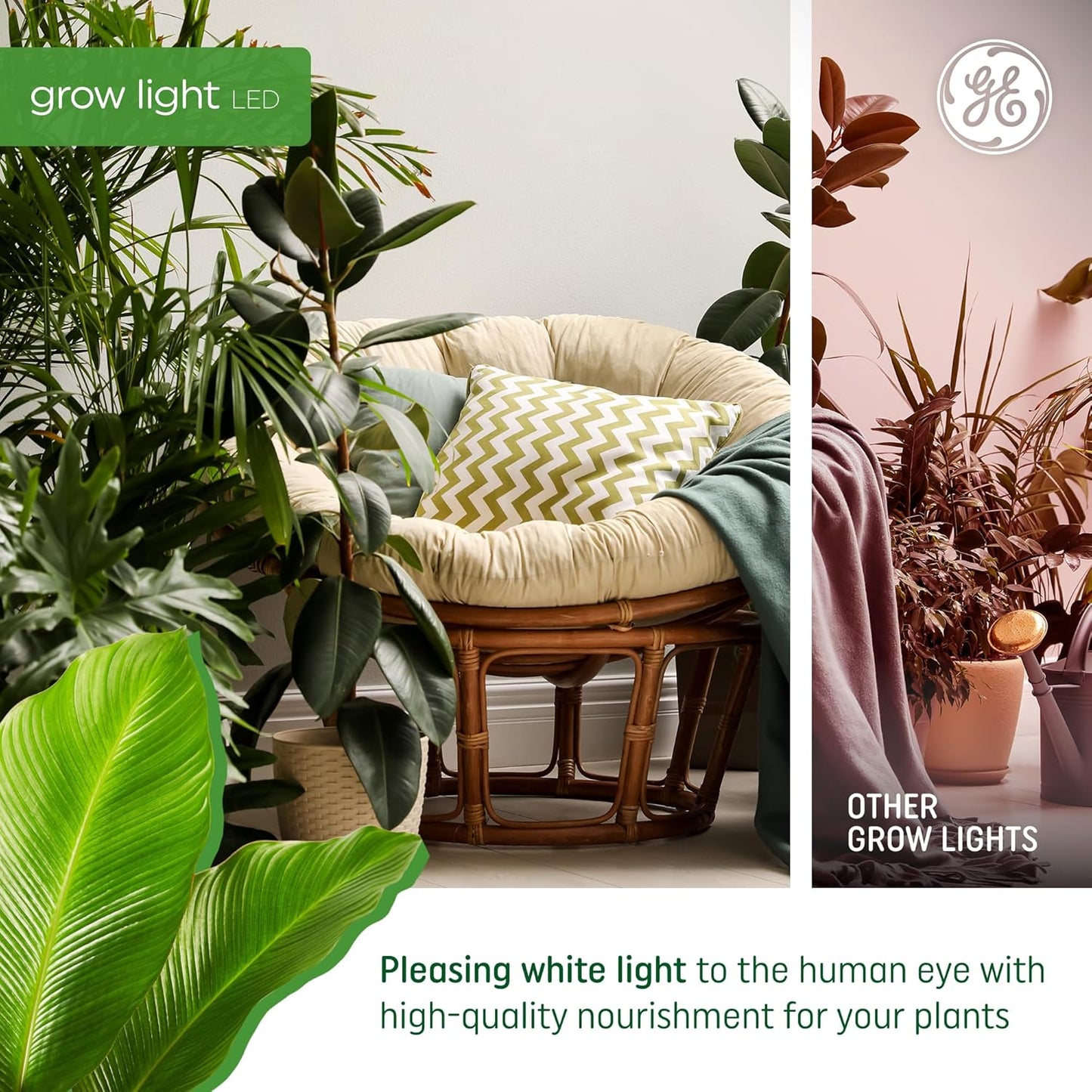 GE 00043168550895 Grow LED Light Bulb Balanced Spectrum 2-Pack